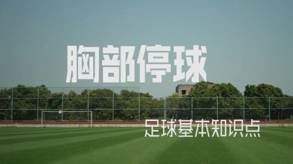 体育投注