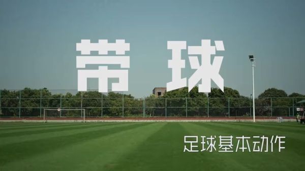 体育投注