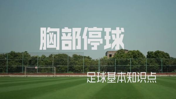 体育投注